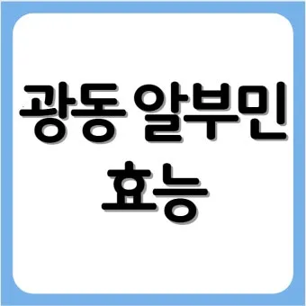 알부민의 효능_21