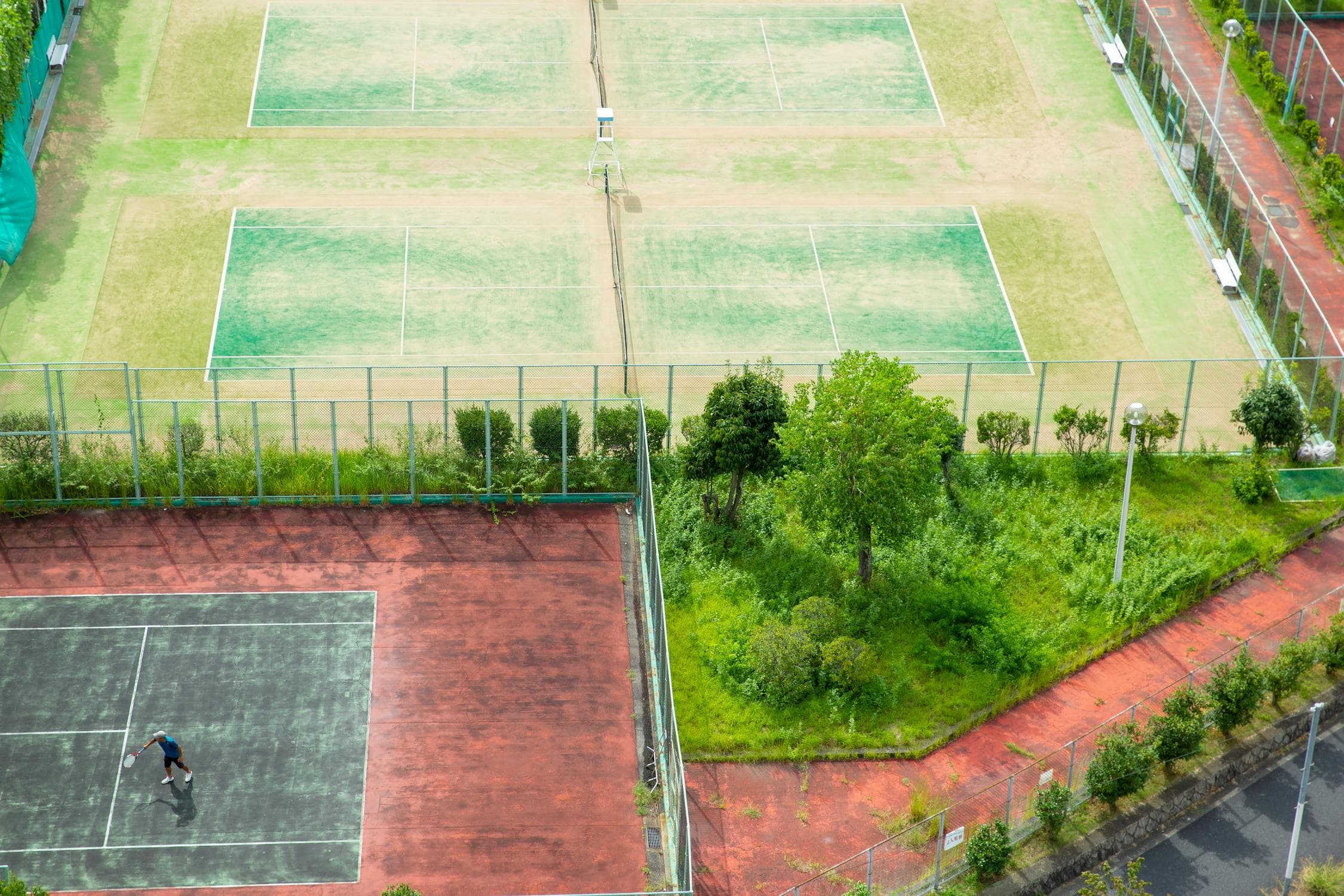 🎾 드롭샷과 로브샷의 환상 콤보 전략: 상대의 허를 찌르는 두 가지 무기
