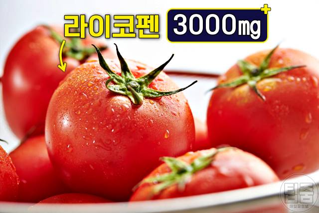 토마토효능 토마토 매일 먹으면
