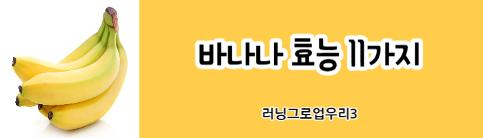 바나나-효능