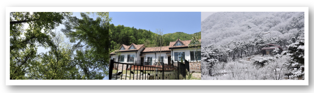 숲나들e 자연휴양림 인천/경기 양평쉬자파크 예약하기