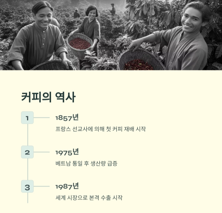 베트남 커피, 세계를 사로잡는 향과 이야기
