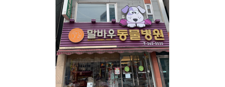 광주 북구 동물병원