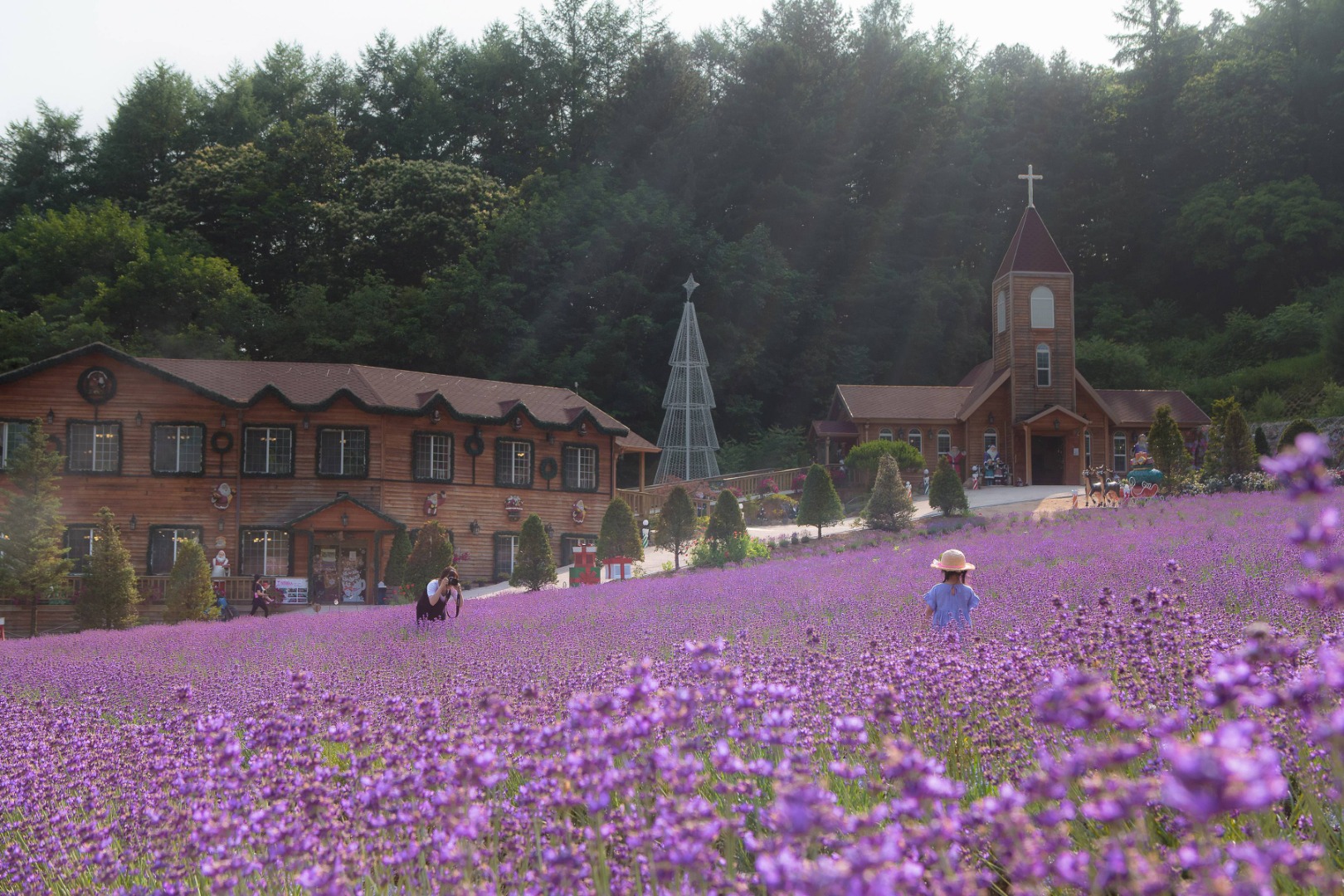 허브아일랜드 라데봄축제