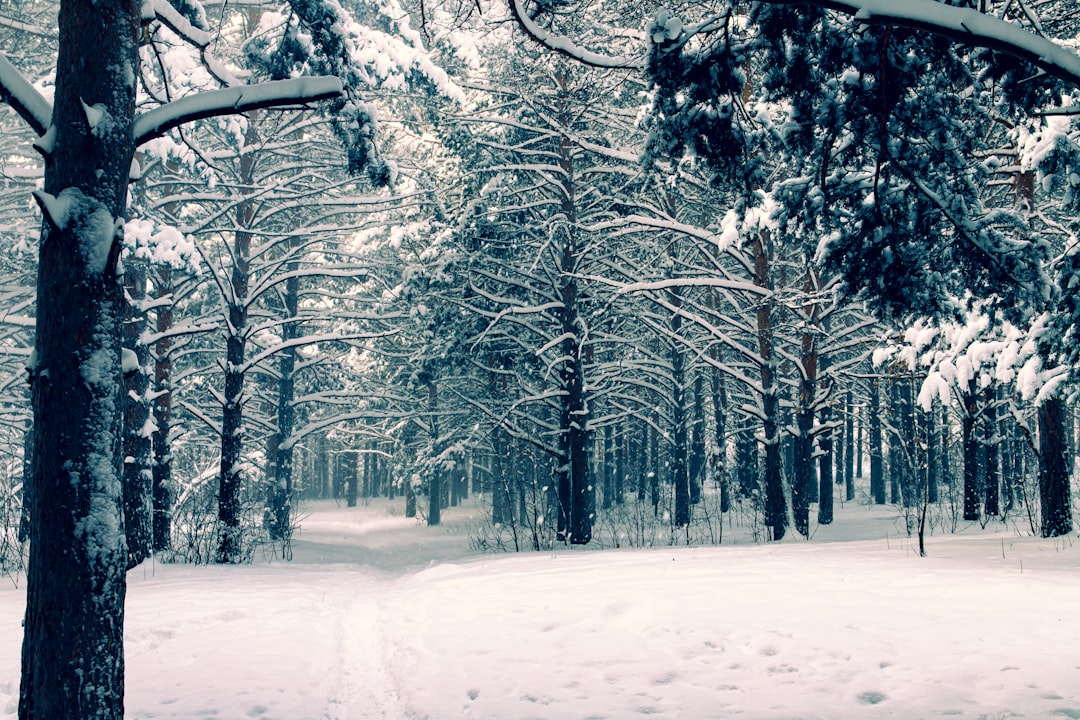 Seasonal.