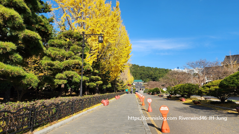 충렬사입구 단풍
