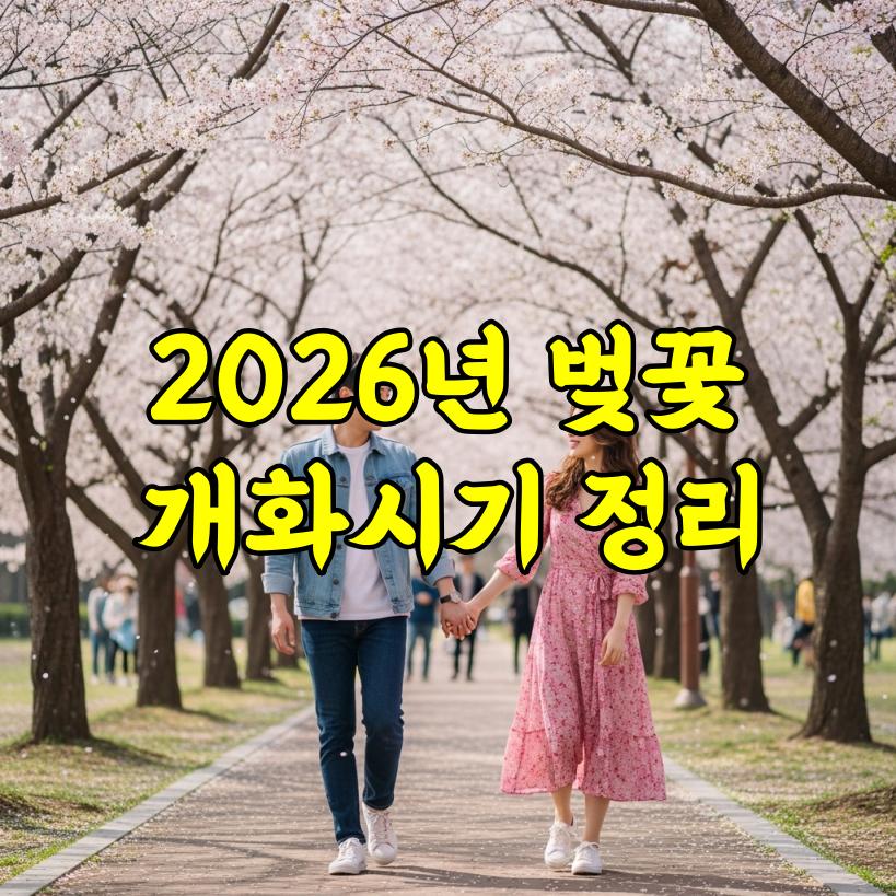 2026년 벚꽃 개화시기 전국 총정리
