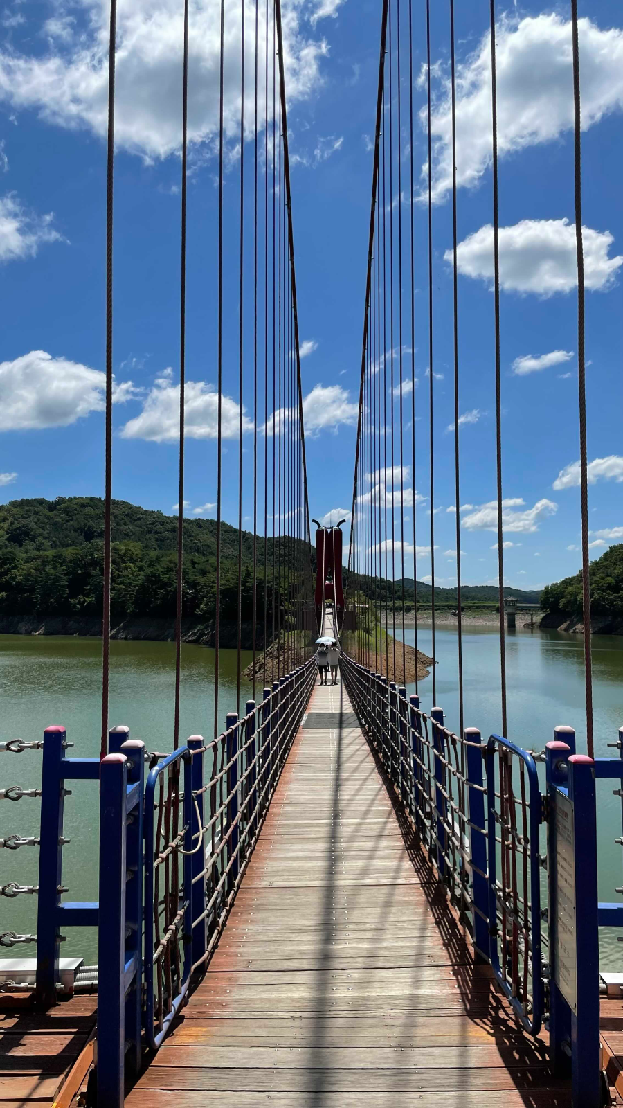 청양 천장호 출렁다리