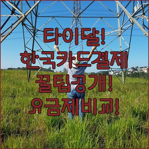 한국 카드로 결제하는 타이달 가입 및..