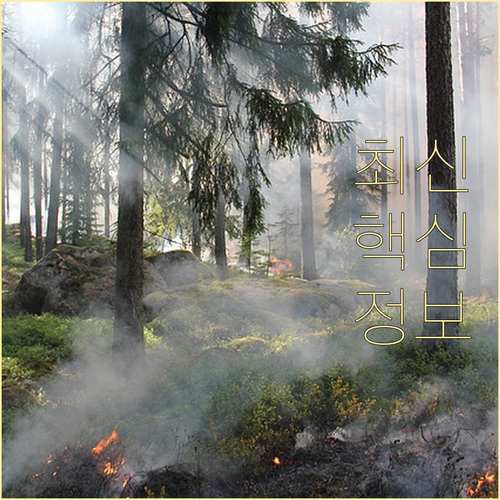 ESTA 수수료 $21 변경 확정, ..