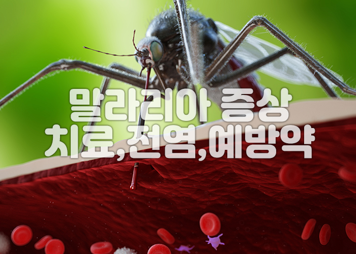 모기가 사람피부를 뚫고 혈액 채취를 하고 있다