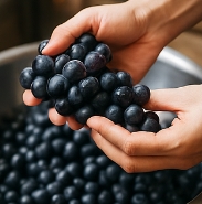 포도주 담그는 방법