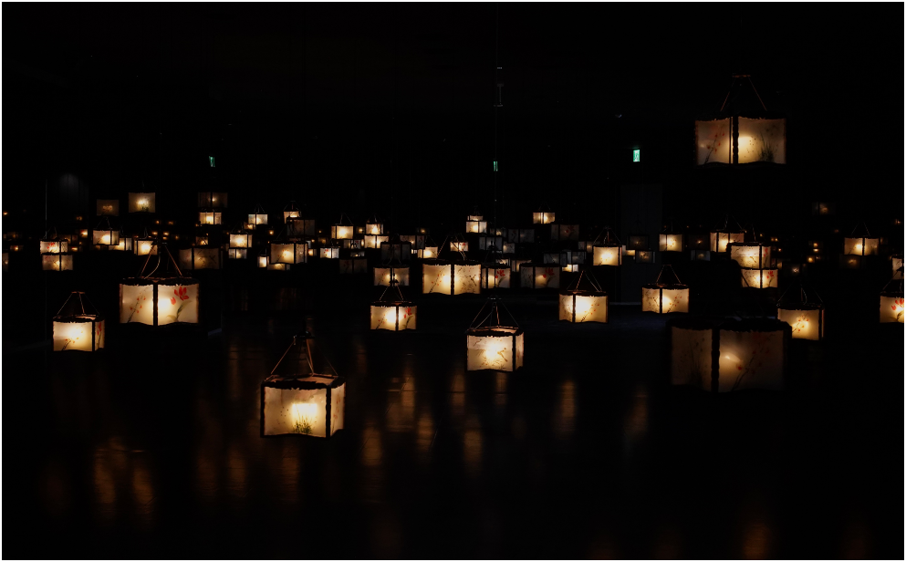 청와대 사랑채 청와대 반딧불 연화 설렘의 빛