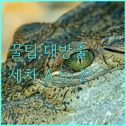 차량 관리 A to Z: 오래 타는