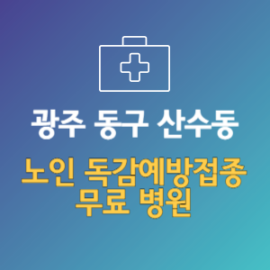 광주 동구 산수동 노인 독감예방접종 무료 병원 (인플루엔자 무료 접종 대상 날짜)