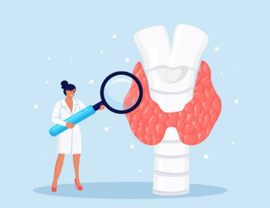 갑상선 기능 저하증 증상, 좋은음식, 수치 총정리 (2024ver)