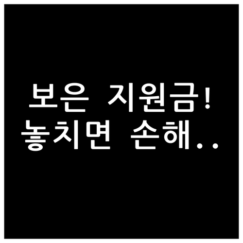 보은 지원금 지급 수단 및 대상자별 ..