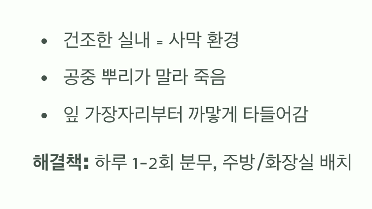 '촉촉한 공기'가 최고의 보약