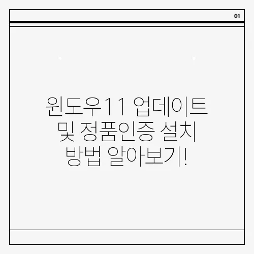 윈도우11 업데이트 및 정품인증 설치 방법 알아보기!