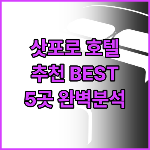 삿포로 추천 호텔 라젠스 스테이 신 ..