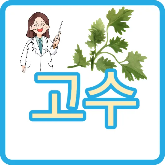 우울증 불면증 개선 고수 효능 부작용 칼로리 고수 못 먹는 이유 비누맛