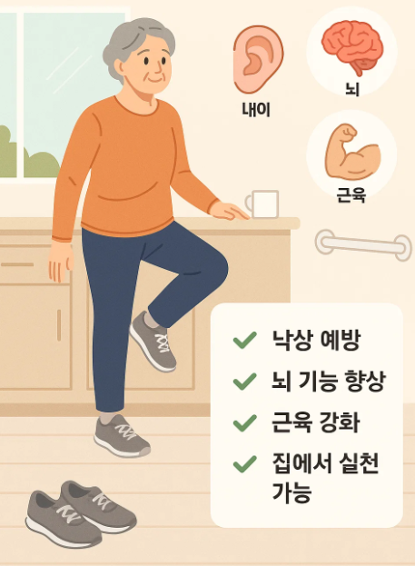 밸런스 운동의 과학적 효과 총정리