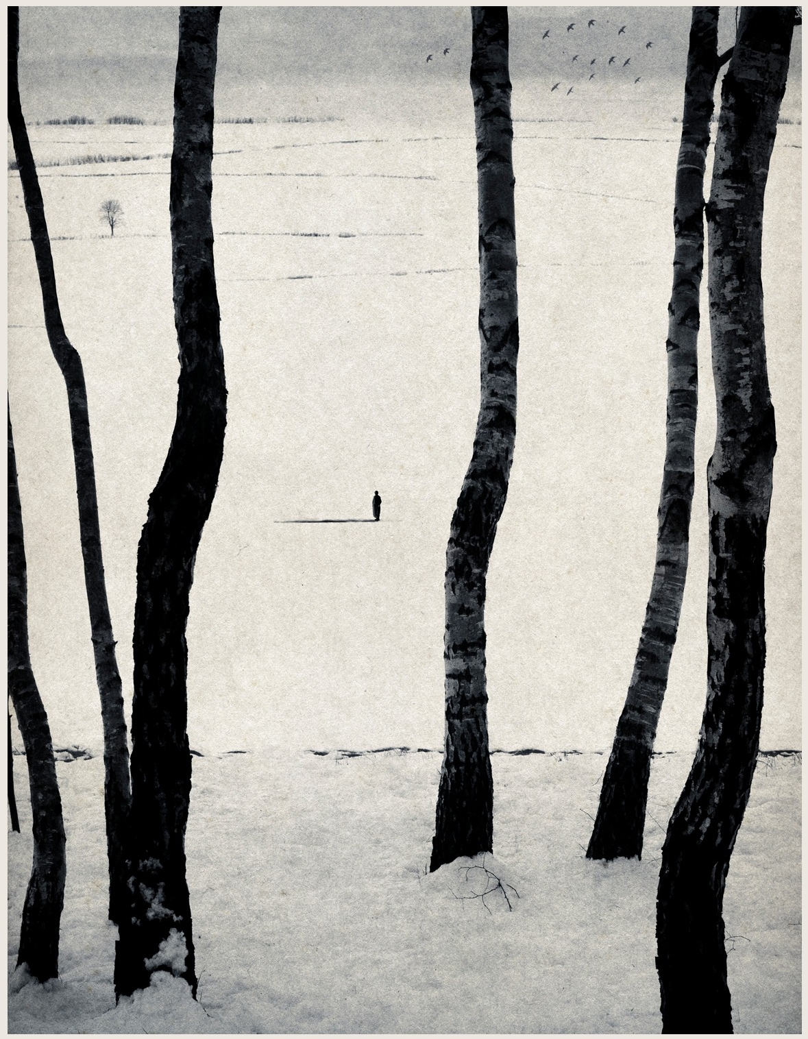로라 마카브레스쿠(Laura Makabresku)&#44; 폴란드&#44; 사진작가&#44; 1987-현재