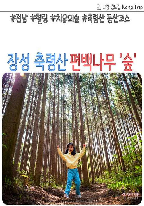 축령산삼나무편백숲