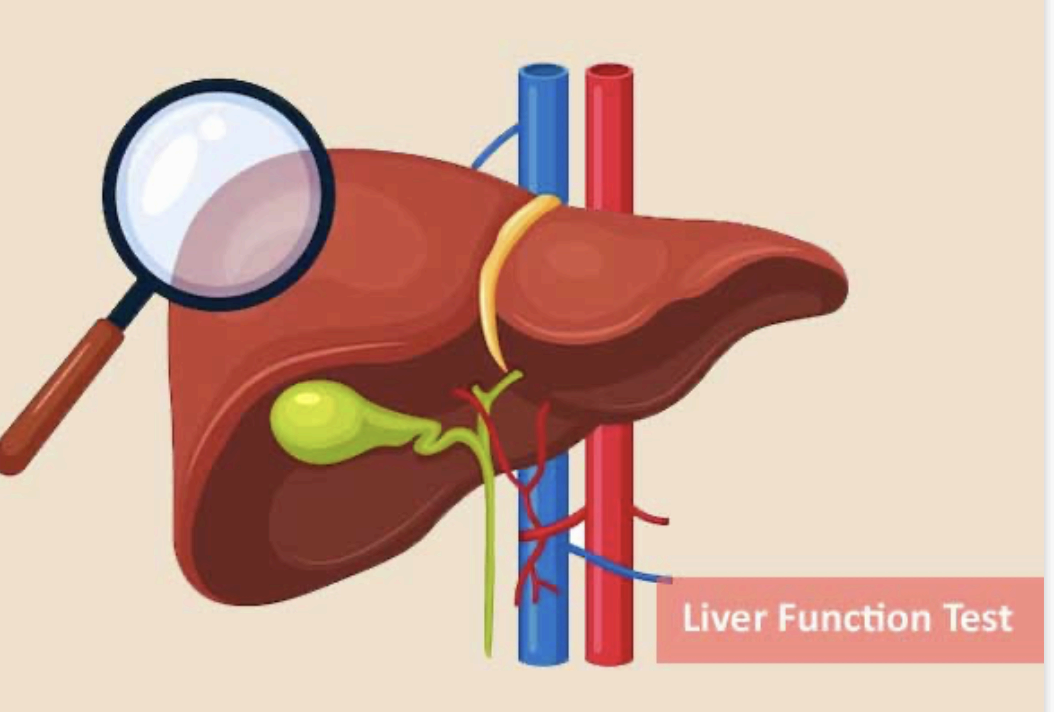 liver function test