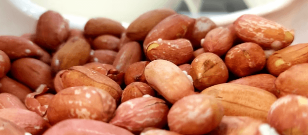 매일 땅콩 한 줌: 동안을 위한 식단 가이드