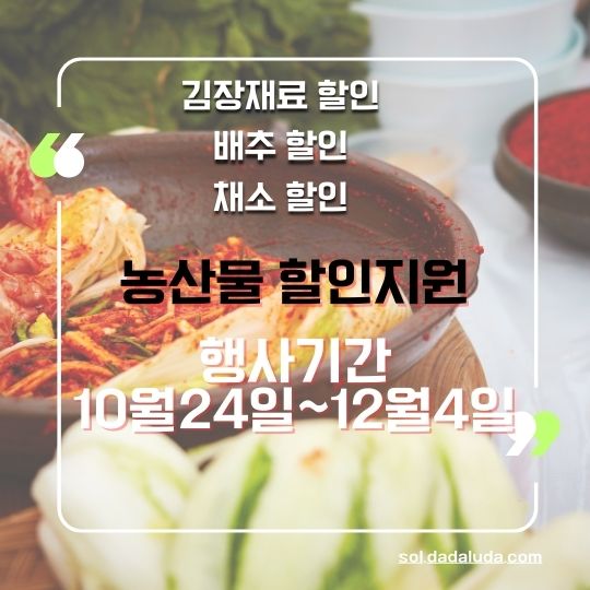 김장 재료 할인 채소 할인 배추