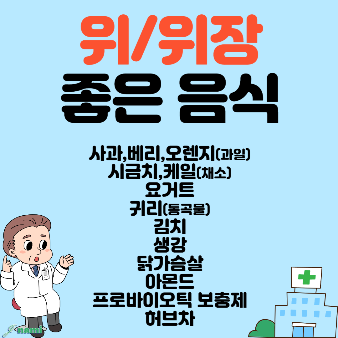 위 음식 요약 정리