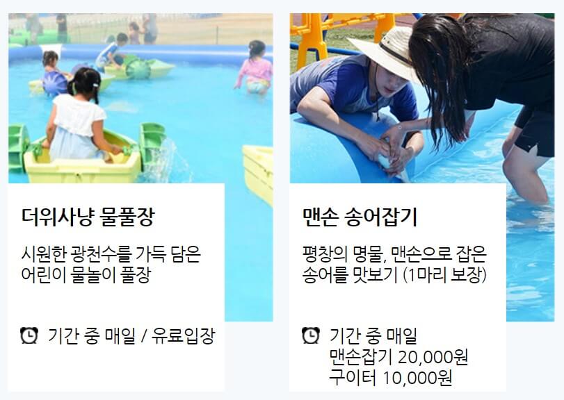 2024-평창더위사냥축제