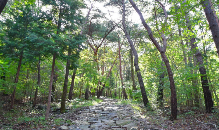 성주산 자연휴양림