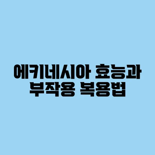 에키네시아 효능과 부작용 복용법