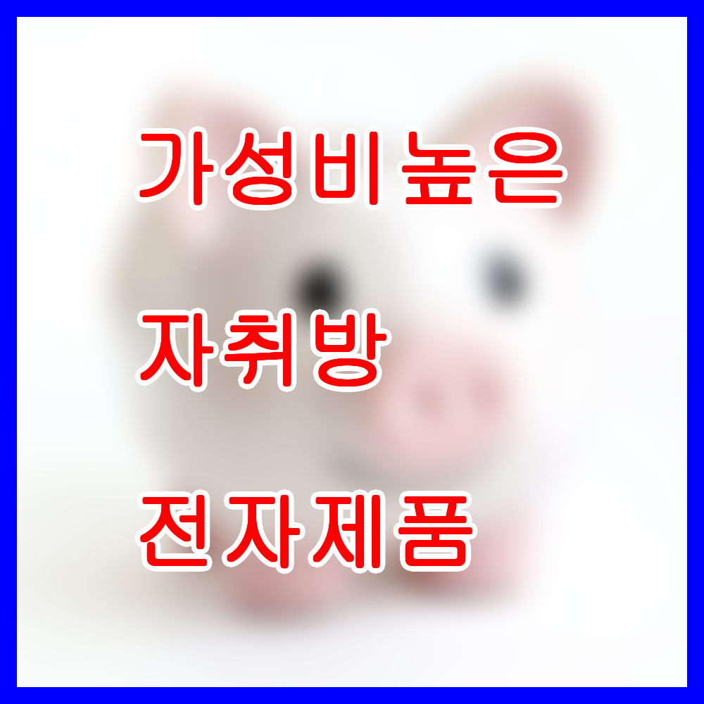 가성비 높은 자취방 전자제품