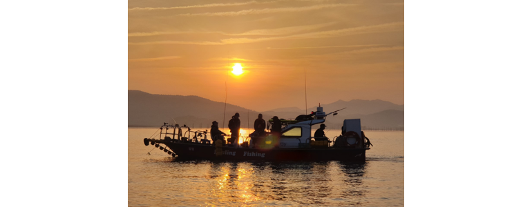 신안군 낚시용품