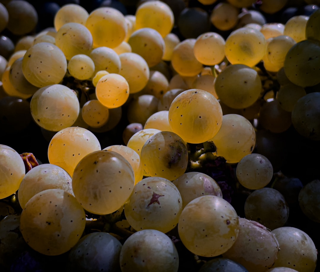 Grape.