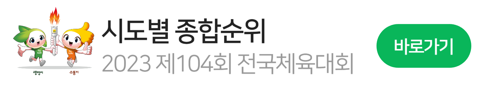 전국체육대회 마스코트1