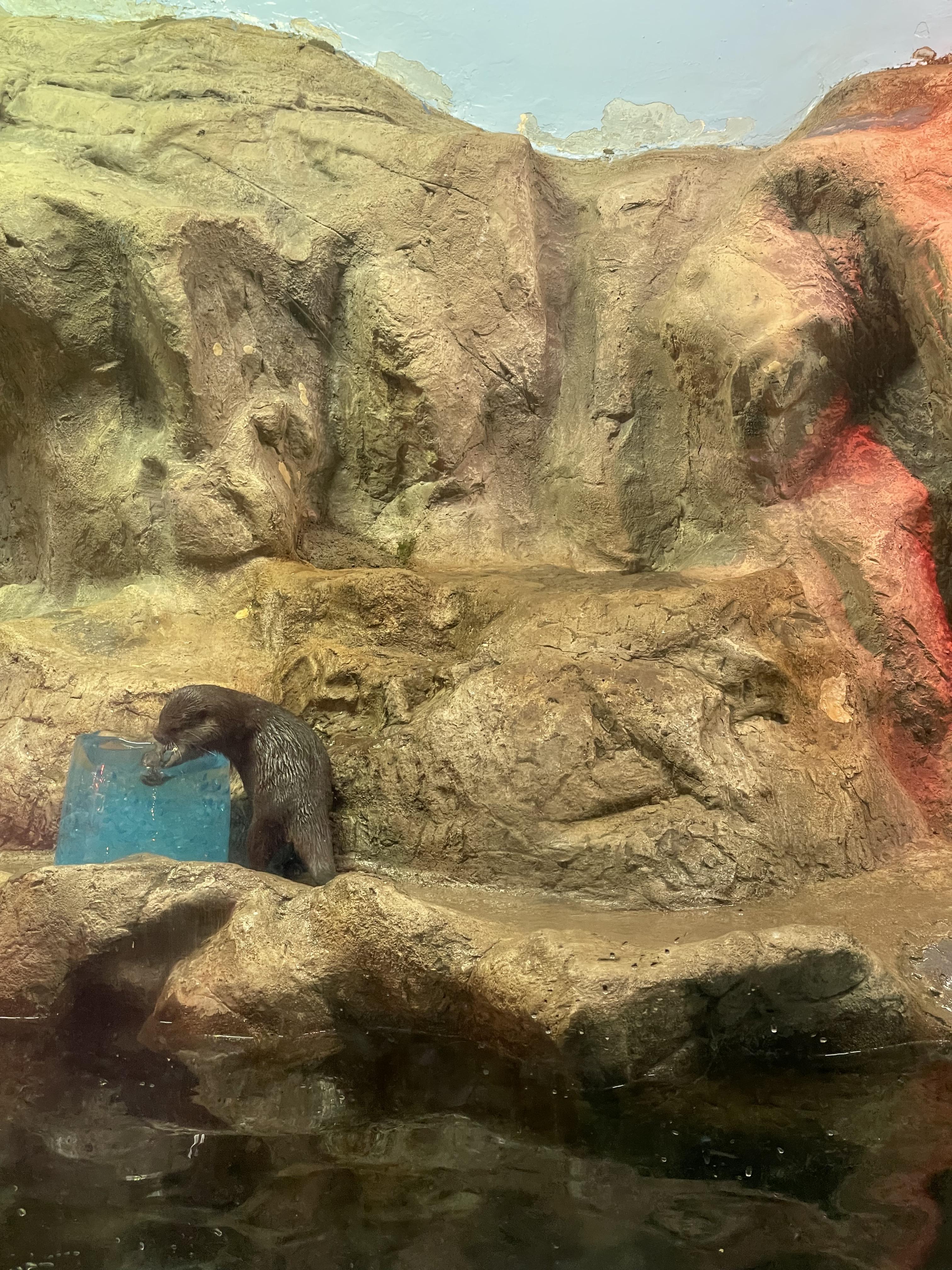 여수 아쿠아플라넷