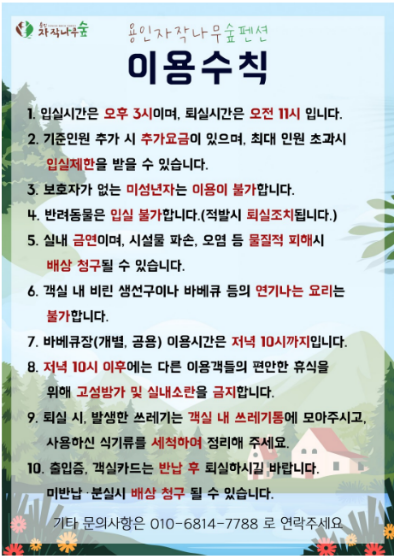 용인 자작나무숲