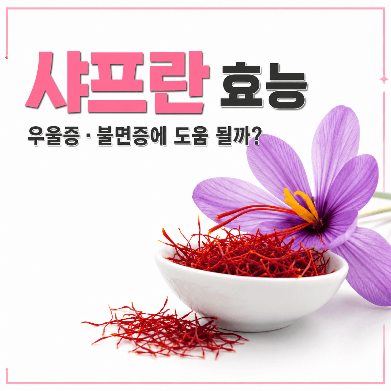샤프란 이미지