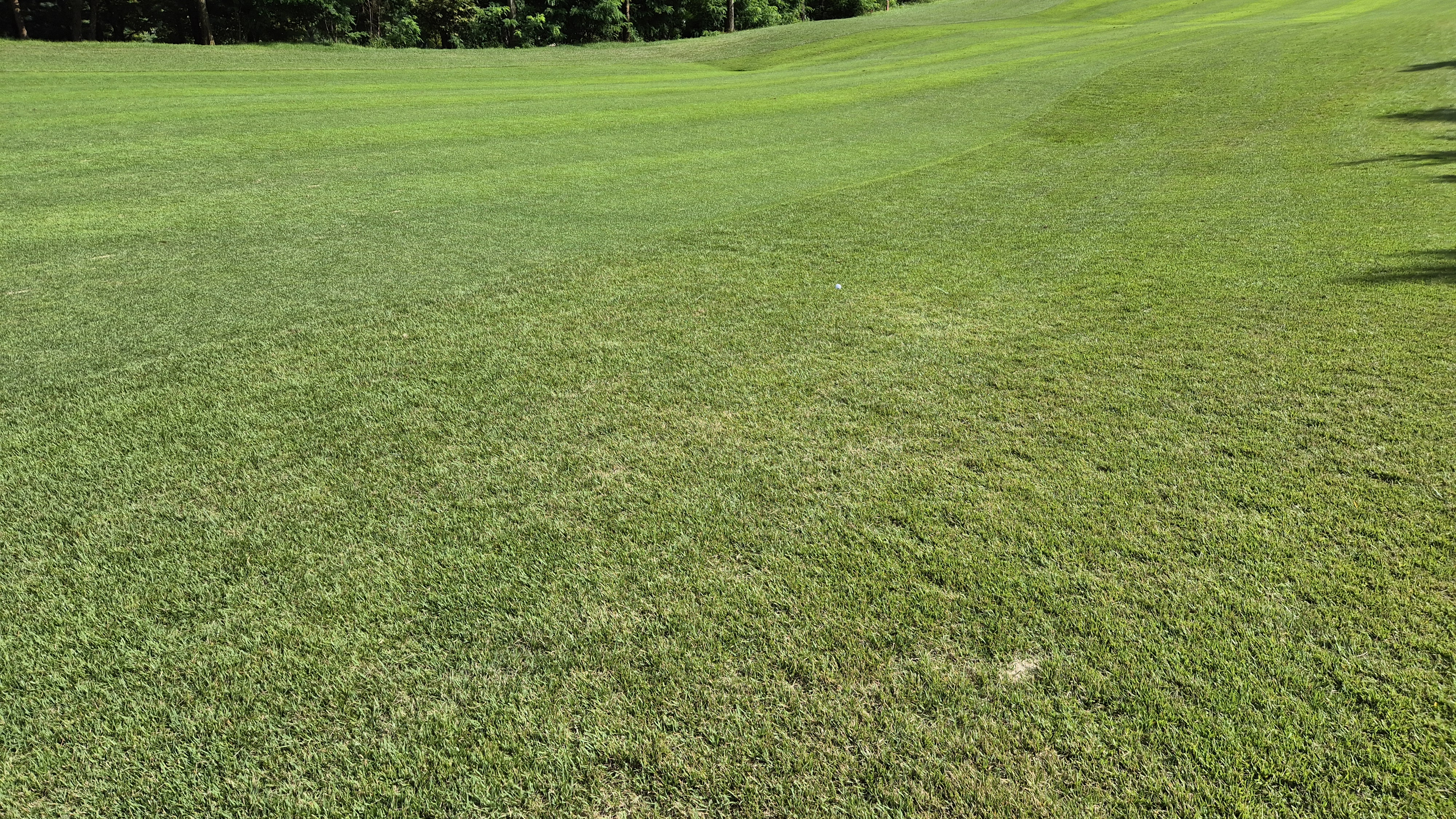 세일cc 들길-산길 코스 라운드 후기