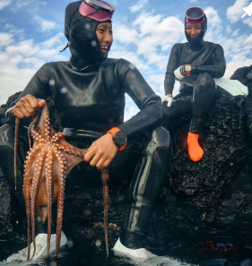 거제 문어 택배 주문