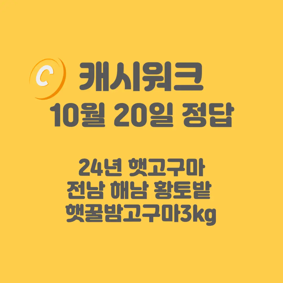 햇고구마-캐시워크