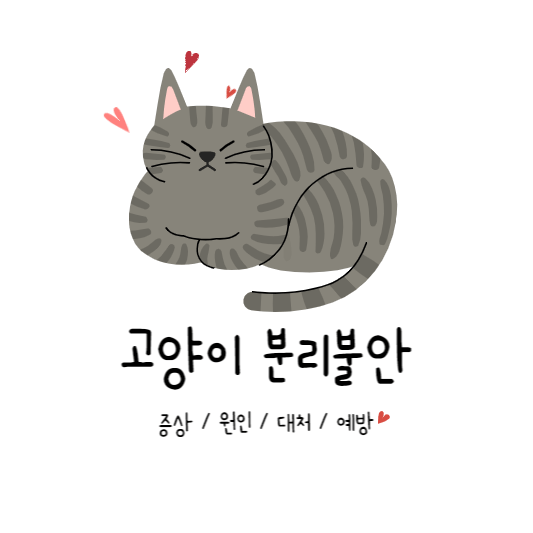 고양이분리불안