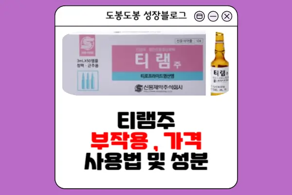 티램주 안내 이미지