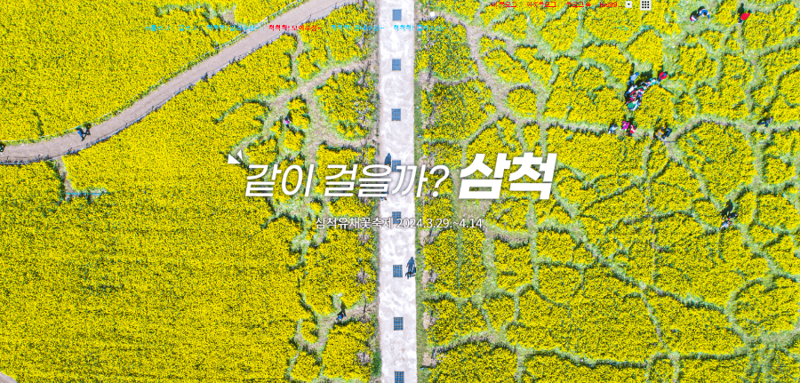 삼척 유채꽃 축제