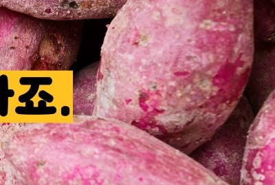 식이섬유가 많은 음식