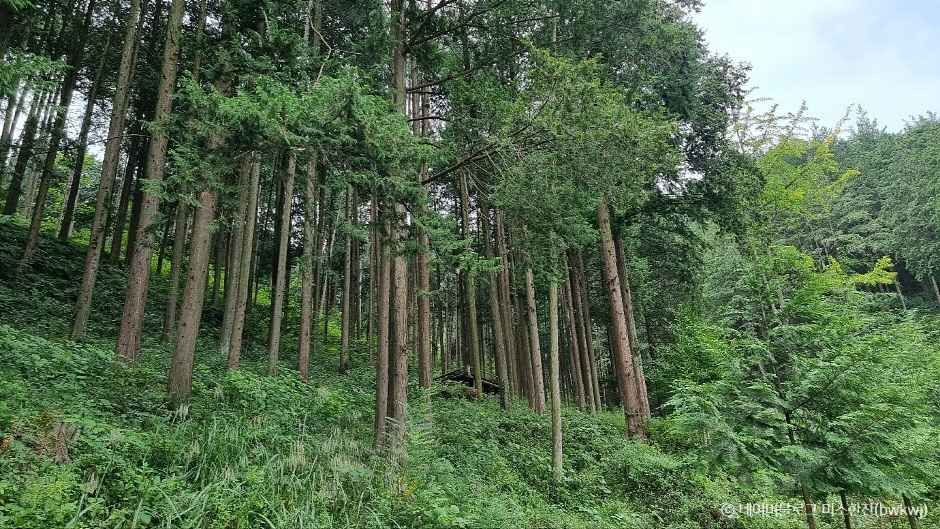 완주 가볼만한곳 베스트10